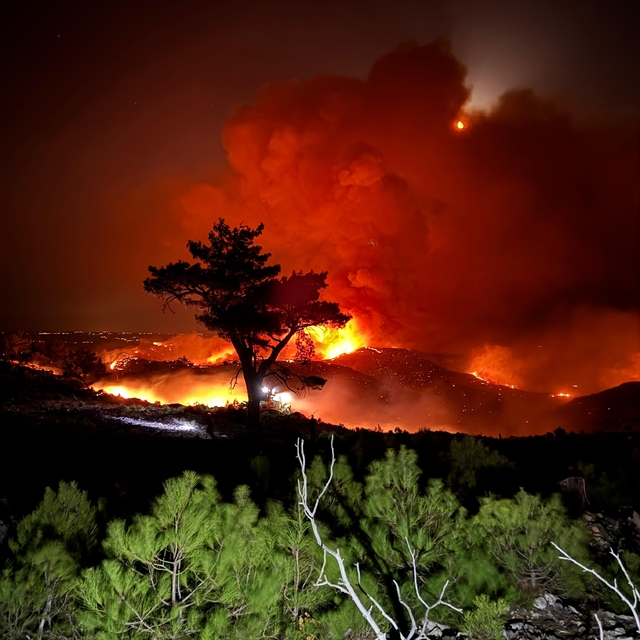 15 bin dönüm ormanın küle döndüğü yangın, kaynak çalışması sırasında çıkmış