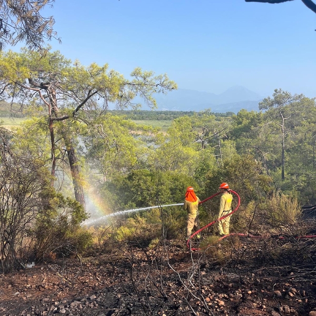 Muğla'daki ormanı yangını 2,5 saate kontrol altına alındı