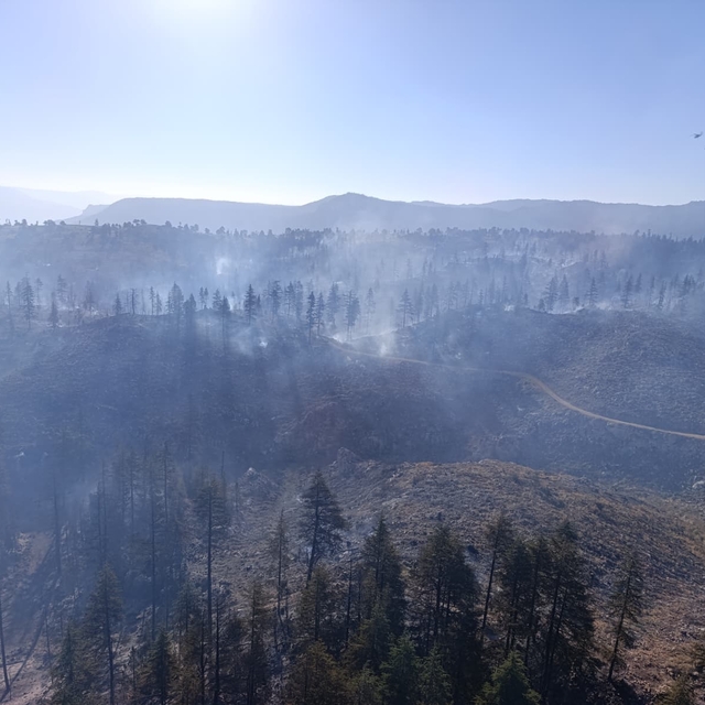 Karaman'daki orman yangını kontrol altında