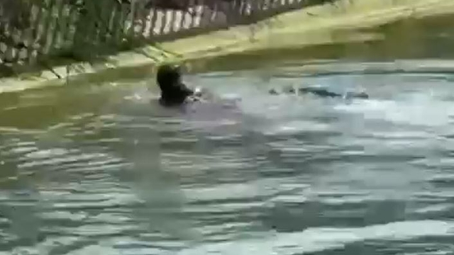 Sulama kanalında erkek cesedi bulundu