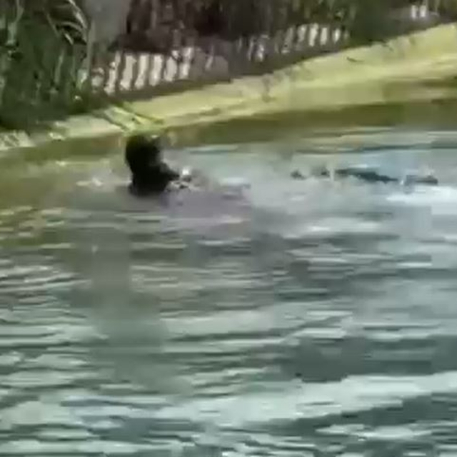 Sulama kanalında erkek cesedi bulundu