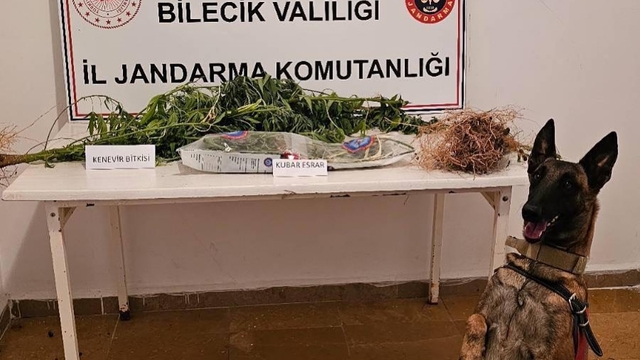 Bilecik'te uyuşturucu operasyonunda 2 şüpheli yakalandı