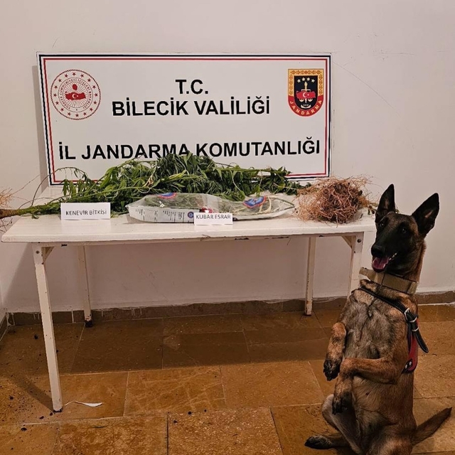 Bilecik'te uyuşturucu operasyonunda 2 şüpheli yakalandı