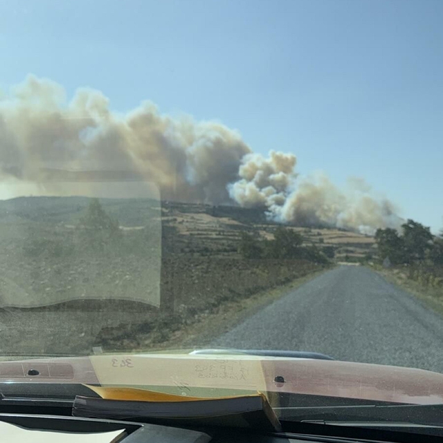 Çanakkale'de orman yangını