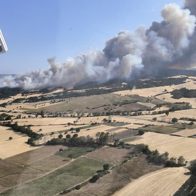 Çanakkale'de orman yangını (2)