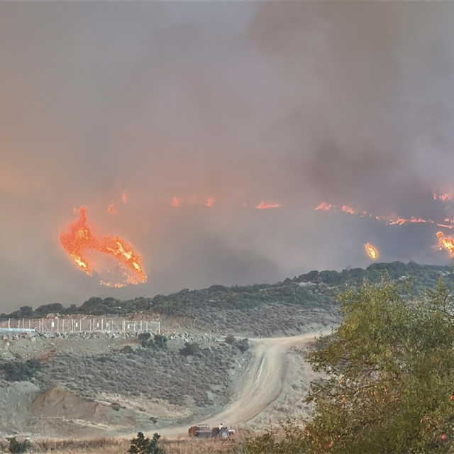 Çanakkale'de orman yangını: 2 köy tahliye edildi (4)