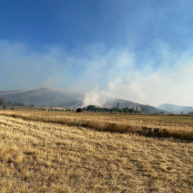 Kırşehir'de merada çıkan yangına müdahale ediliyor