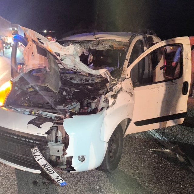 Bingöl'de hafif ticari araç ata çarptı: 1 ölü, 1 yaralı