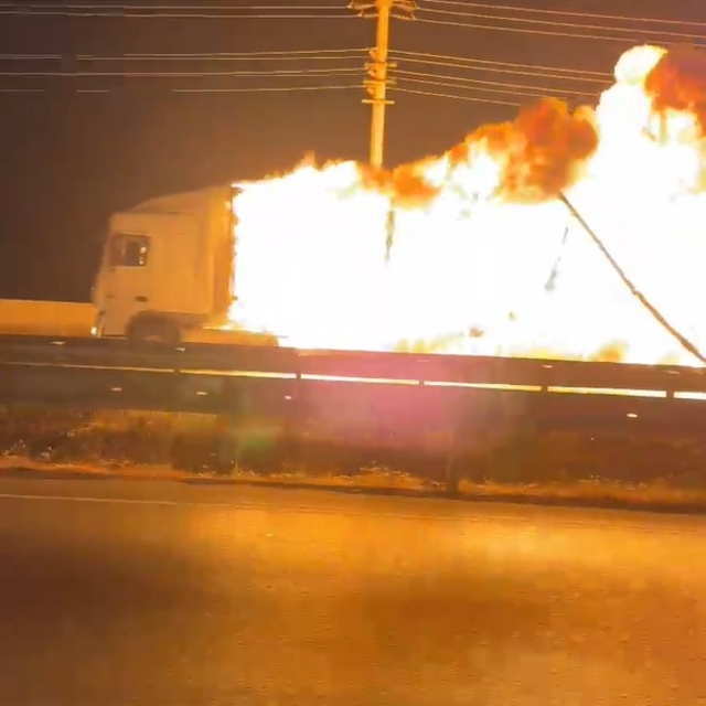 Samsun'da seyir halindeki TIR'da çıkan yangında alevler ağaçlara sıçradı (2...