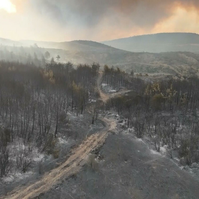 Çanakkale'deki orman yangını 2'nci gününde