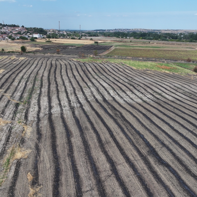 Anız yakmak canlı yaşamını yok ederek toprağa zarar veriyor