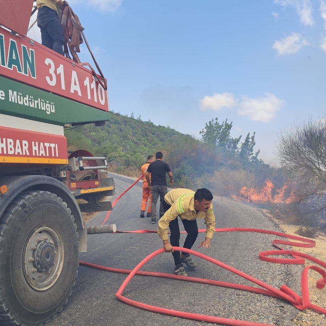 Hatay Yayladağı'nda çıkan orman yangını kontrol altına alındı