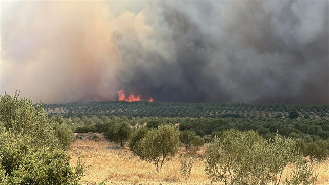 Çanakkale'deki orman yangını 2'nci gününde (3)