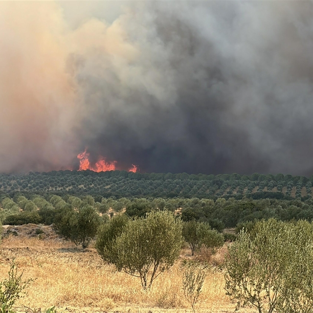 Çanakkale'deki orman yangını 2'nci gününde (3)