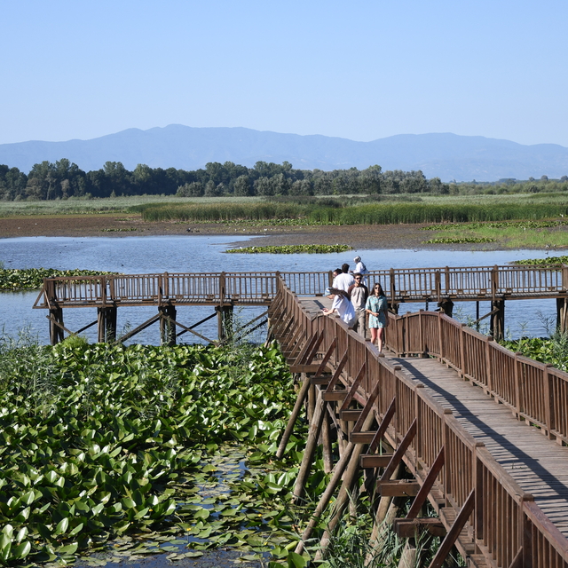 Efteni Gölü Kuş Cenneti hafta sonu doğa tutkunlarını ağırladı