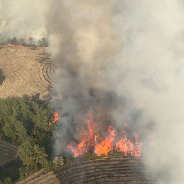Adana'nın İmamoğlu ilçesinde orman yangını çıktı