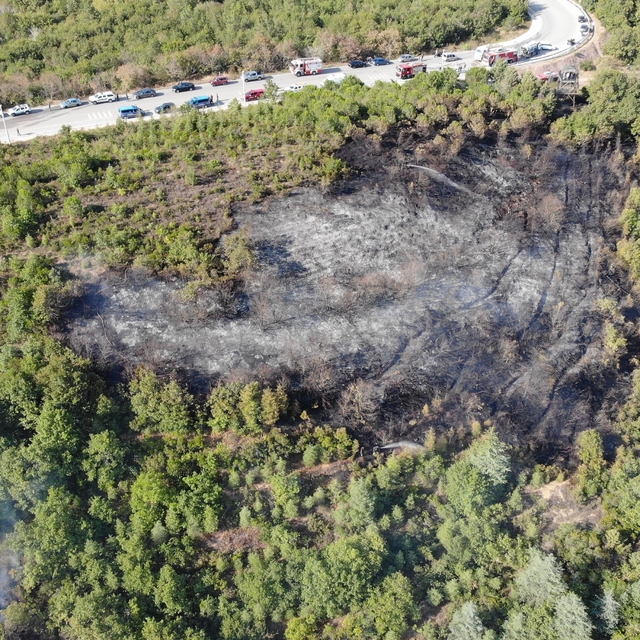 İzmit'te ormanda çıkan bir saatte söndürüldü