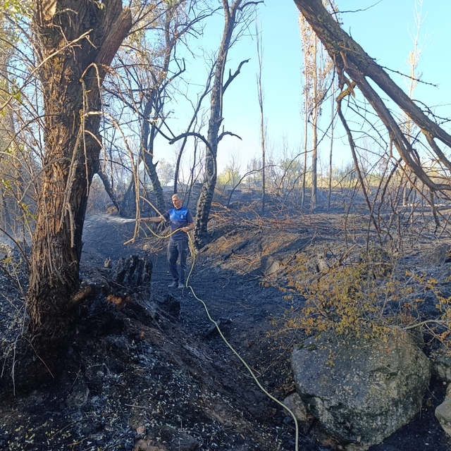 Yozgat'ta evine doğru ilerleyen ot yangınını söndürmeye çalışan kadın yaral...