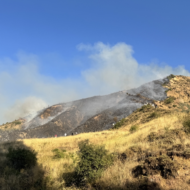Erzurum'da çıkan örtü yangını söndürüldü