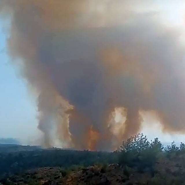 Adana'daki orman yangını kontrol altında