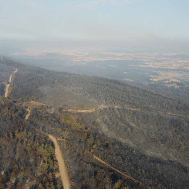 Çanakkale'deki orman yangınında zarar gören alanlar dron ile görüntülendi