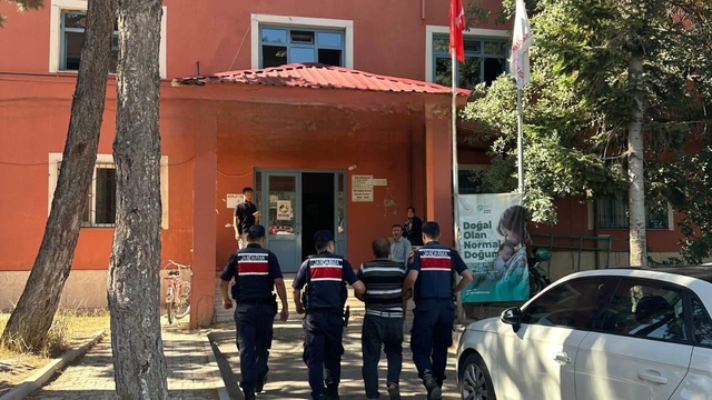 Arıları sakinleştirmek isterken 80 hektar ormanı yaktı
