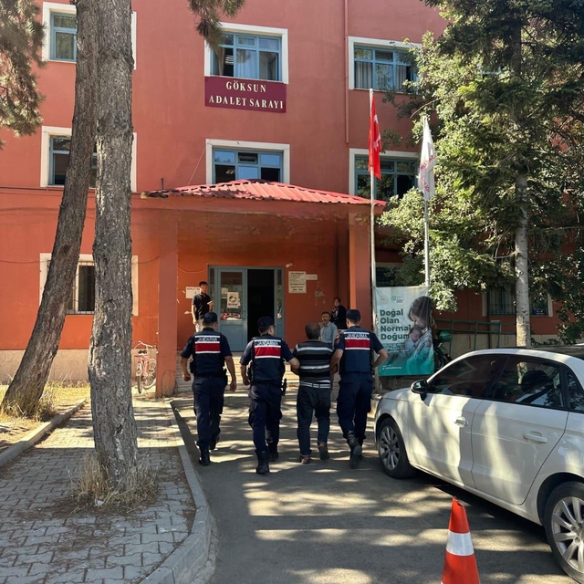 Arıları sakinleştirmek isterken 80 hektar ormanı yaktı
