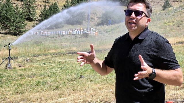 Palandöken'i ağaçlandırma ve çimlendirme projesinde arılar da kullanılıyor