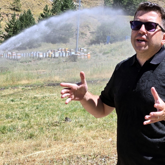 Palandöken'i ağaçlandırma ve çimlendirme projesinde arılar da kullanılıyor