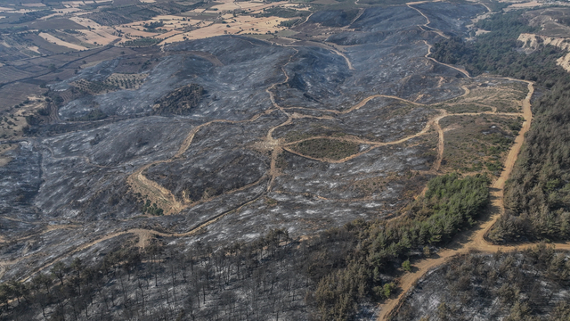 Çanakkale'de yangında zarar gören alanlar dronla görüntülendi