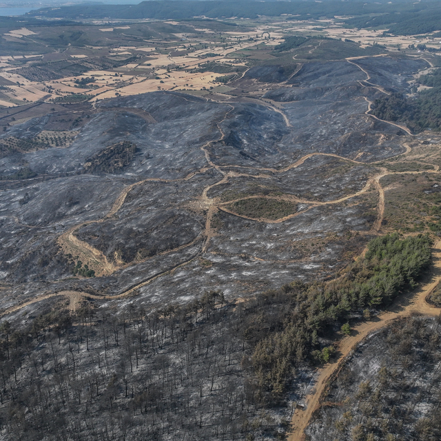Çanakkale'de yangında zarar gören alanlar dronla görüntülendi