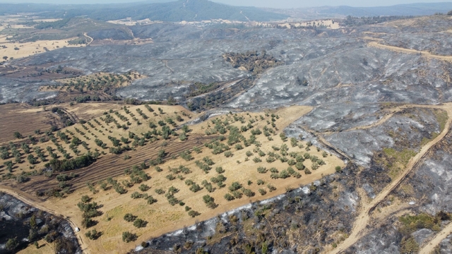 Çanakkale'deki orman yangınında zarar gören alanlar dron ile görüntülendi (3)