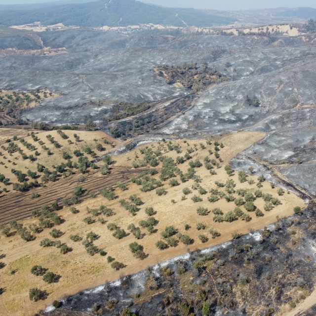 Çanakkale'deki orman yangınında zarar gören alanlar dron ile görüntülendi (...