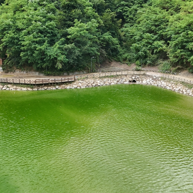 30 kamyon çöp çıkarılan Sera Gölü, berraklaştı