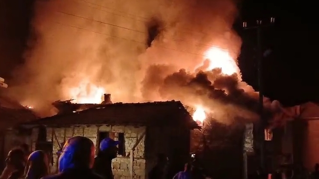 Köyde çıkan yangında 2 ev ve eklentileri yandı; ev sahibi gözaltına alındı