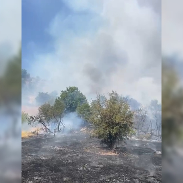 Malatya'da orman yangını