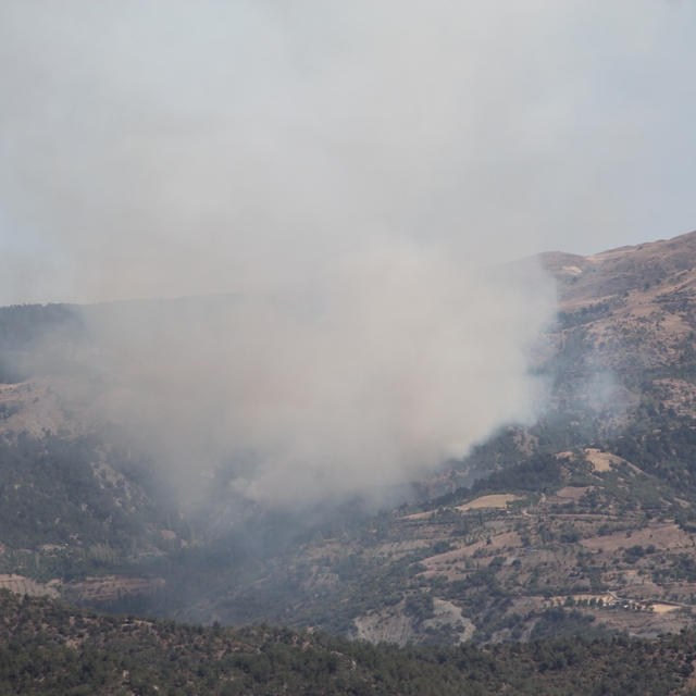 Çorum'da ormanlık alanda çıkan yangına müdahale ediliyor