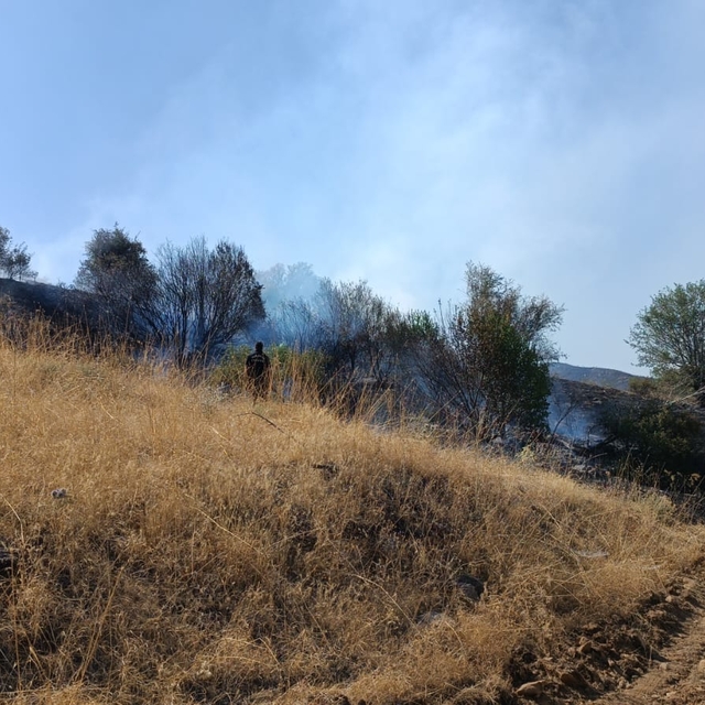 Malatya'daki orman yangınına müdahale ediliyor