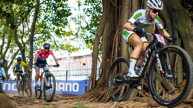 Sakarya'dan kısa kısa