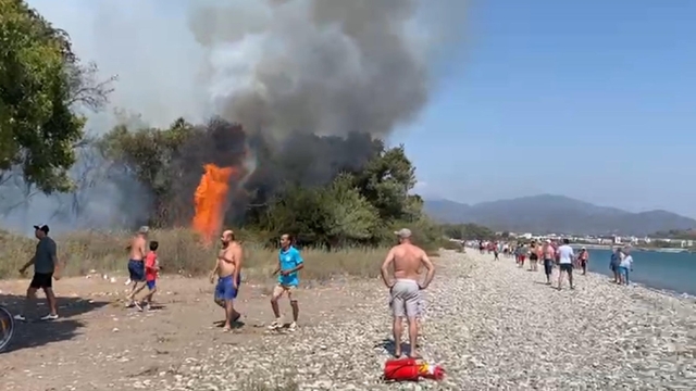 Muğla'da orman yangını