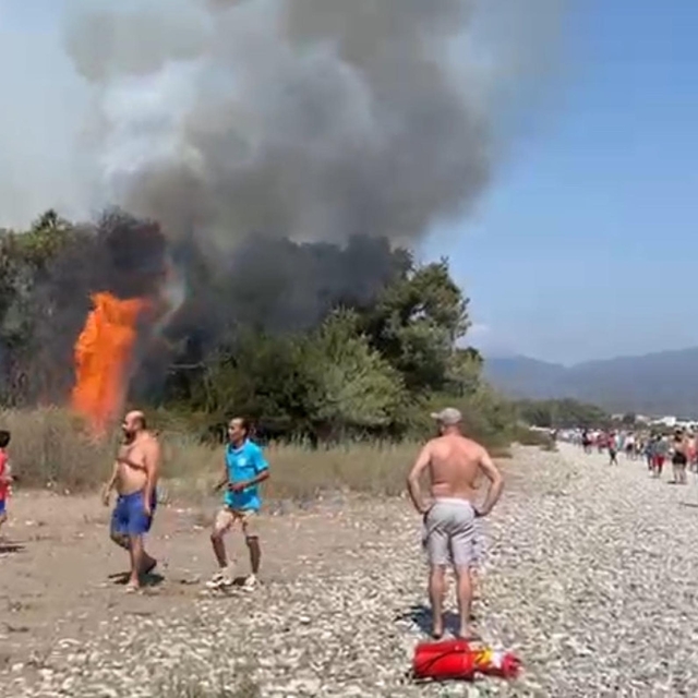 Muğla'da orman yangını