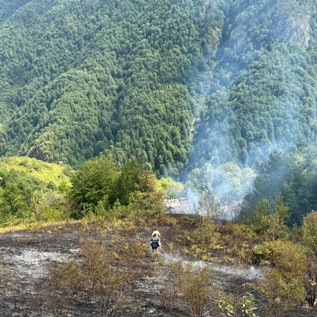 Kastamonu'da bir evde çıkarak ormanlık alana sıçrayan yangın söndürüldü