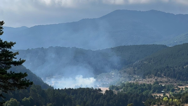 Bolu'da çalılık alanda çıkan yangın söndürüldü