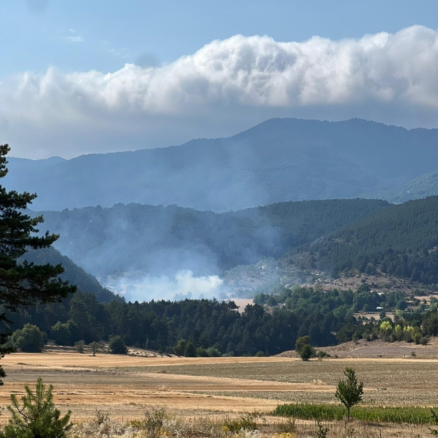 Bolu'da çalılık alanda çıkan yangın söndürüldü