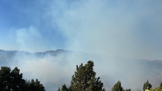 Gümüşhane'de çıkan orman yangınına müdahale ediliyor