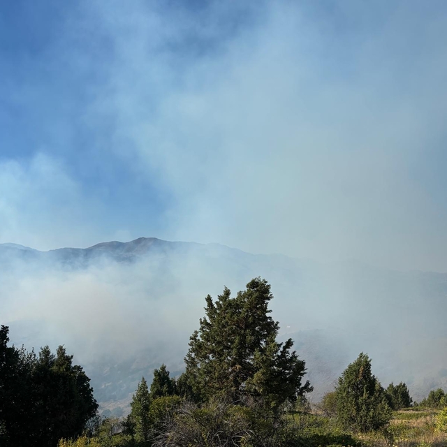 Gümüşhane'de çıkan orman yangınına müdahale ediliyor