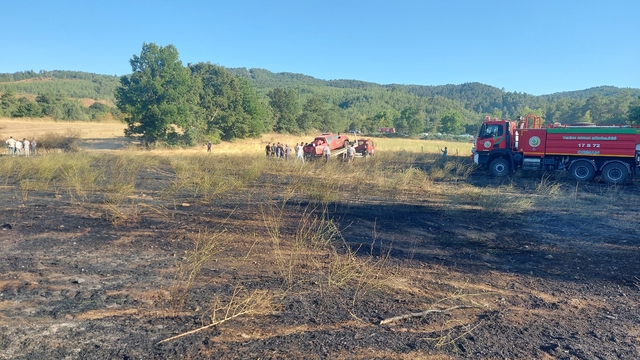 Çanakkale'de zirai alanda çıkan yangın söndürüldü