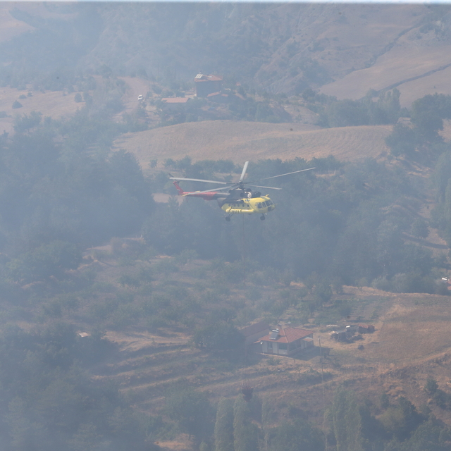 GÜNCELLEME 2 - Çorum'da ormanlık alanda çıkan yangın kontrol altına alındı