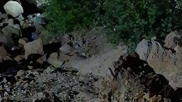 Adana'da uçuruma yuvarlanan otomobildeki 1'i çocuk 5 kişi öldü