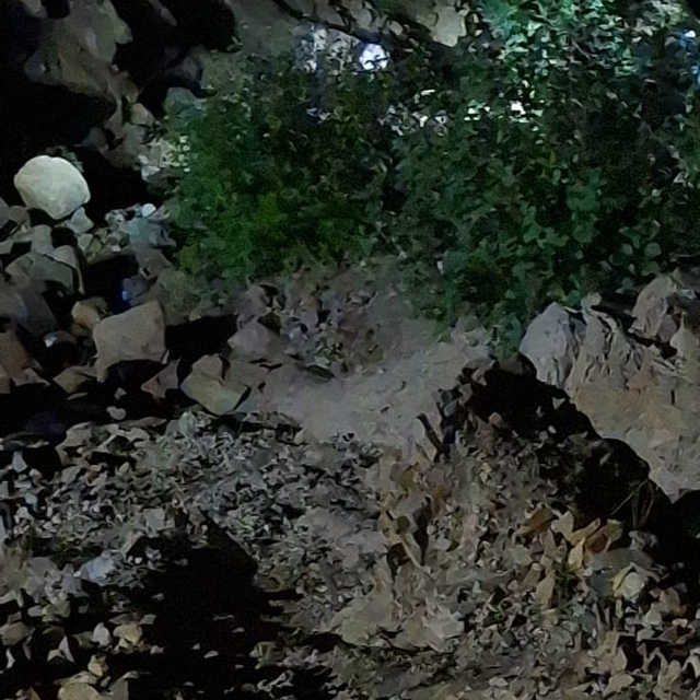 Adana'da uçuruma yuvarlanan otomobildeki 1'i çocuk 5 kişi öldü